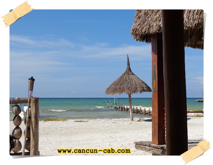What to do at Holbox.